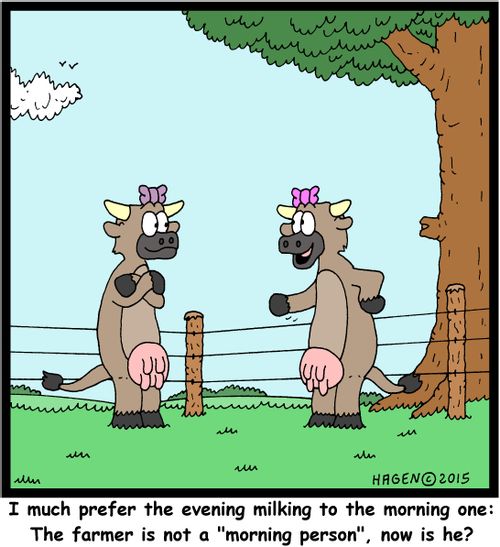 "I much prefer the evening milking to the morning one: The farmer is not a "morning person", now is he?"