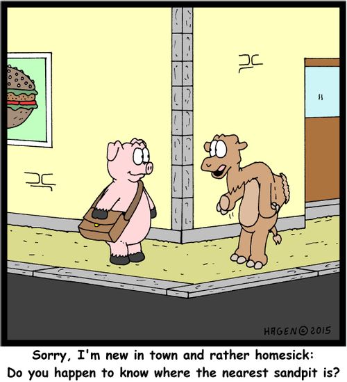 "Sorry, I'm new in town and rather homesick: Do you happen to know where the nearest sandpit is?"