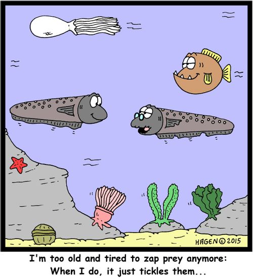 "I'm too old and tired to zap prey anymore: When I do, it just tickles them..."
