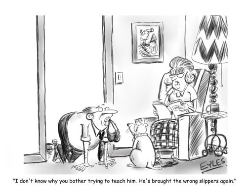 "I don't know why you bother trying to teach him. He's brought the wrong slippers again."