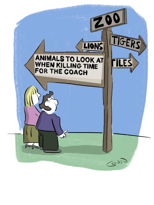 Animals to look at when killing time for the coach.