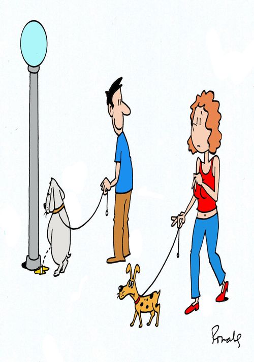 Male dog taking a toilet break.