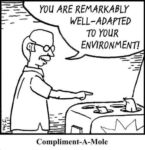 Compliment-A-Mole