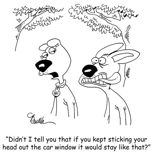 "Didn't I tell you that if you kept sticking your head out the car window it would stay like that?"