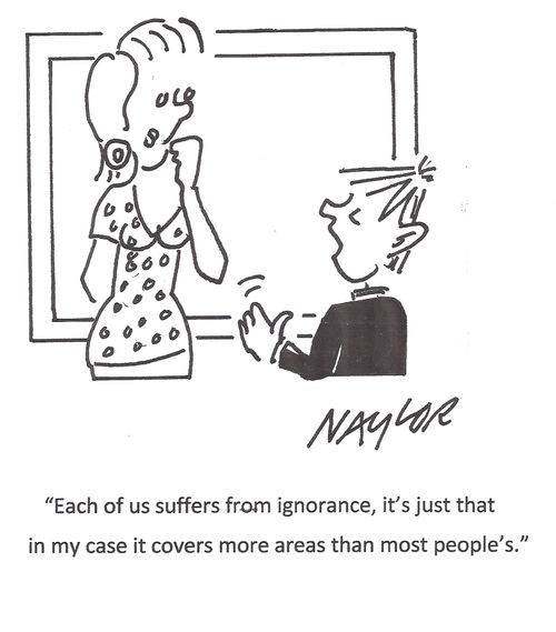"Each of us suffers from ignorance, it's just that in my case it covers more areas than most people's."