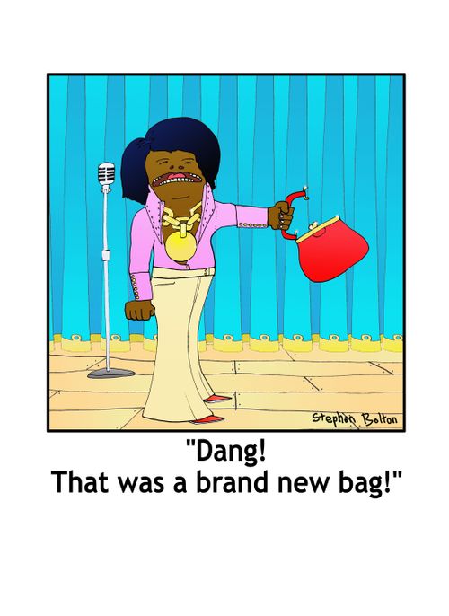 'Dang! That was a brand new bag!'