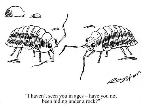 "I haven't seen you in ages - have you not been hiding under a rock?"