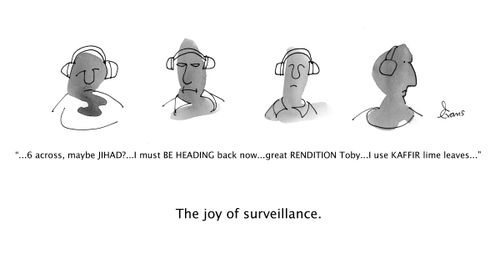 The joy of surveillance.
