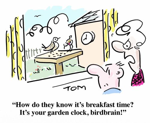 'How do they know it's breakfast time? It's your garden clock, birdbrain!'