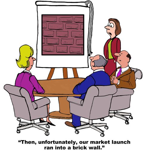 "Then, unfortunately, our market launch ran into a brick wall."