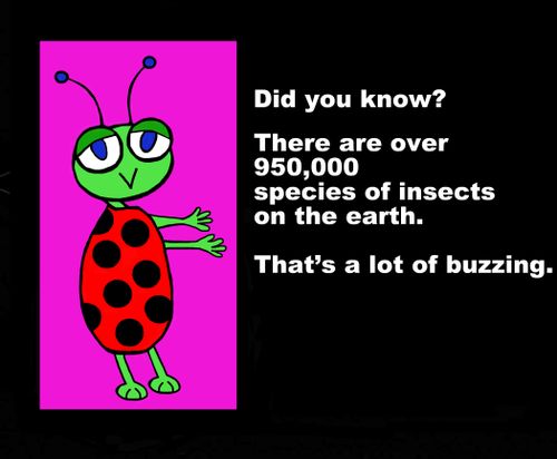 Did you know? There are over 950,000 species of insects on the earth. . . That's a lot of buzzing.