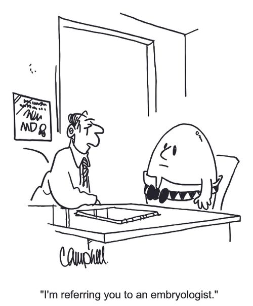 "I'm referring you to an embryologist." 