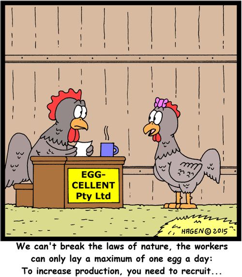 "We can't break the laws of nature, the workers can only lay a maximum of one egg a day: To increase production, you need to recruit..."