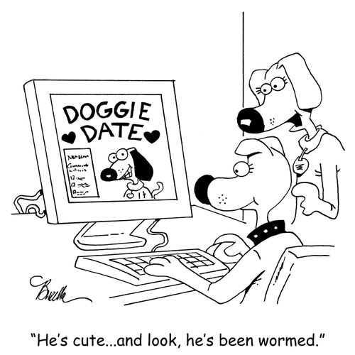 "He's cute...and look, he's been wormed."