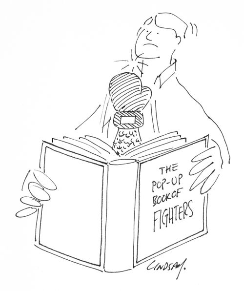 The pop-up book of fighters