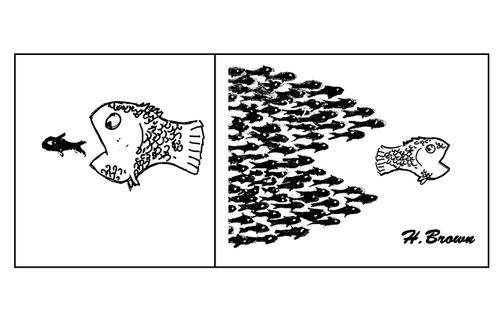 Revenge of the little fish.