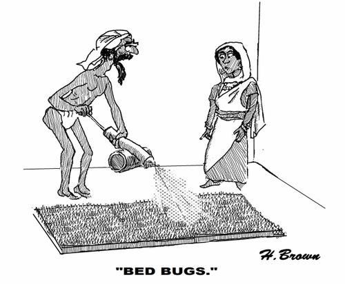 "Bed bugs."