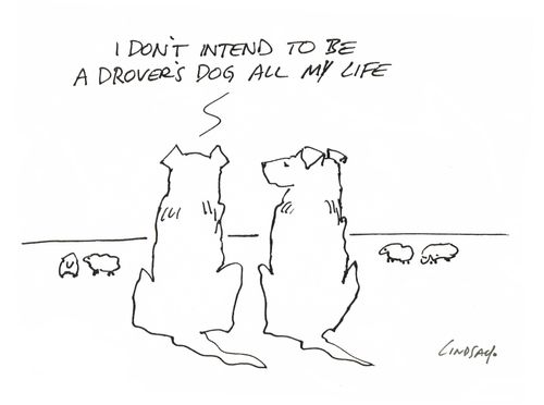"I don't intend to be a drover's dog all my life."
