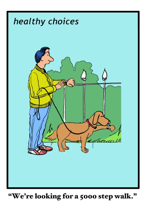 "We're looking for a 5000 step walk."