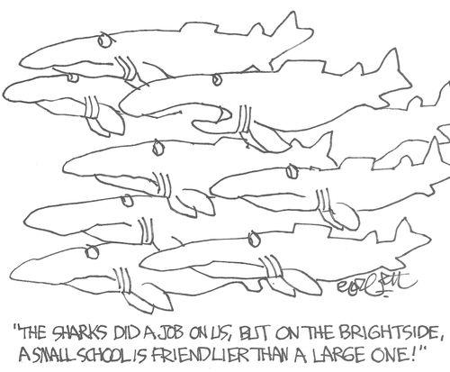 "The sharks did a job on us, but on the brightside, a small school is friendlier than a large one!" 