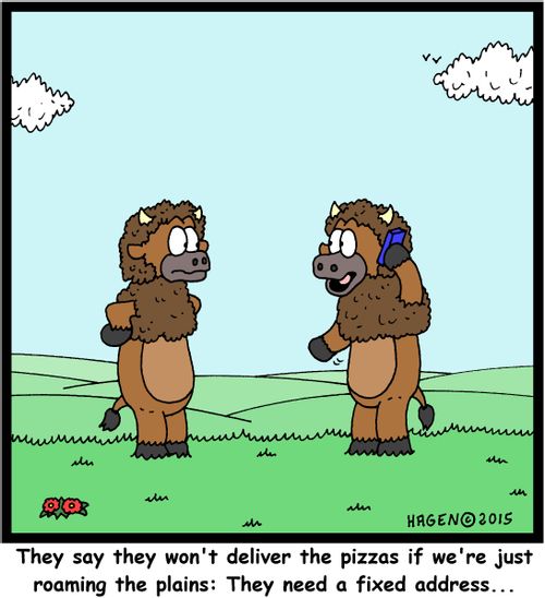 "They say they won't deliver the pizzas if we're just roaming the plains: They need a fixed address..."