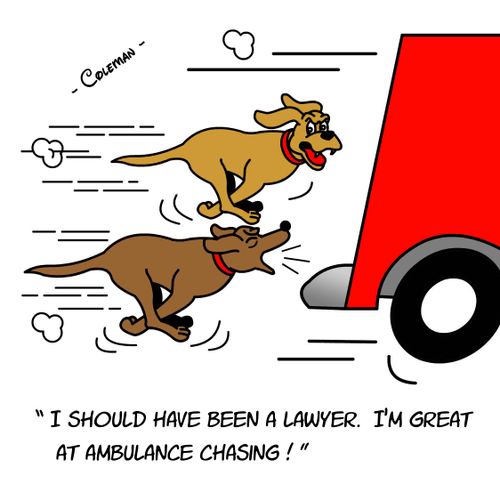 "I should have been a lawyer. I'm great at ambulance chasing!"