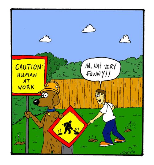 Caution: Human at Work.