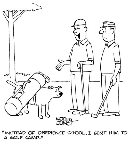 "Instead of obedience school, I sent him to a golf camp."