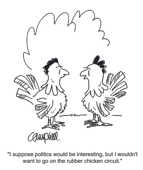 "I suppose politics would be interesting, but I wouldn't want to go on the rubber chicken circuit."