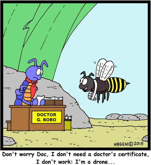 "Don't worry Doc, I don't need a doctor's certificate, I don't work: I'm a drone..."