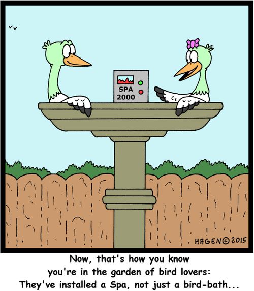 "Now, that's how you know you're in the garden of bird lovers: They've installed a Spa, not just a bird-bath..."
