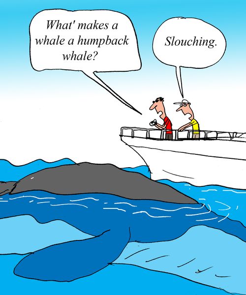 "How did humpback whales get that way?"