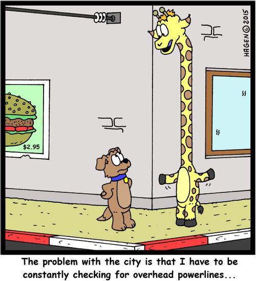 "The problem with the city is that I have to be constantly checking for overhead powerlines..."