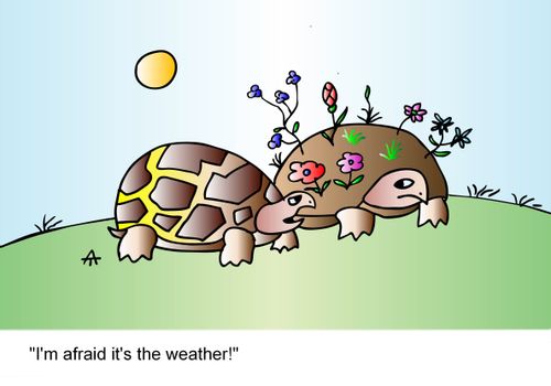 "I'm afraid it's the weather!"