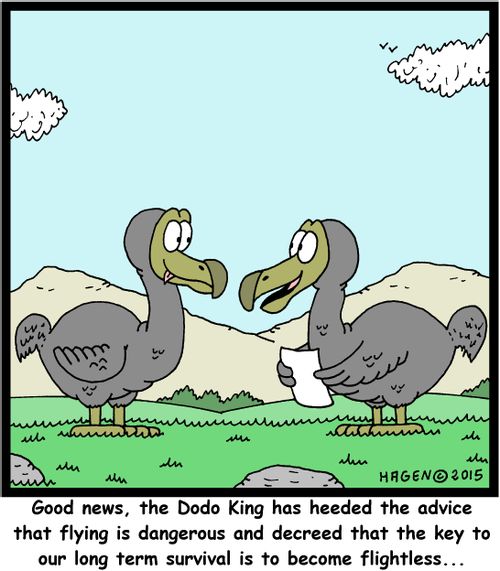 "Good news, the Dodo King has heeded the advice that flying is dangerous and decreed that the key to our long term survival is to become flightless..."