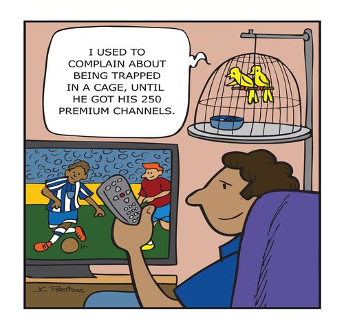 "I used to complain about being trapped in a cage, until he got his 250 premium channels."