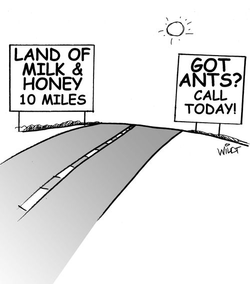 Land of Milk and Honey - Got Ants?