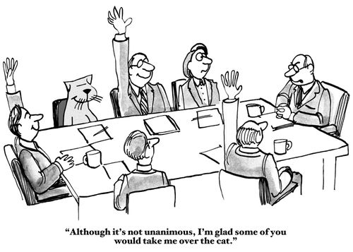 "Although it's not unanimous, I'm glad some of you would take me over the cat."