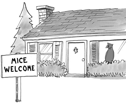 Mice Welcome