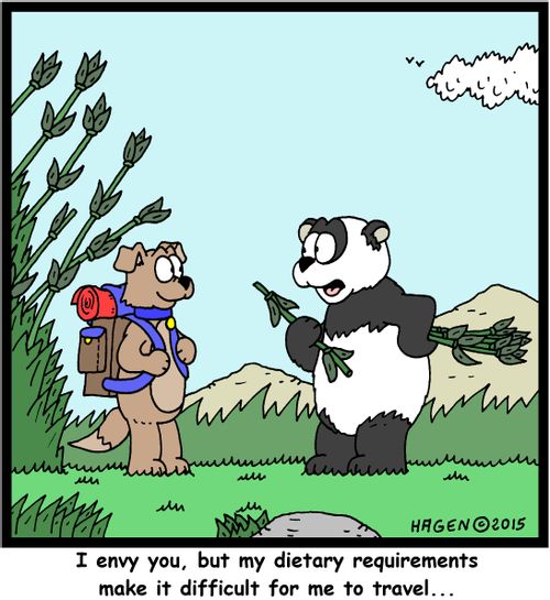 "I envy you, but my dietary requirements make it difficult for me to travel..."