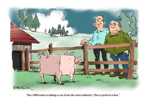 "Our GMO team is taking a cue from the wine industry. This is pork in a box."