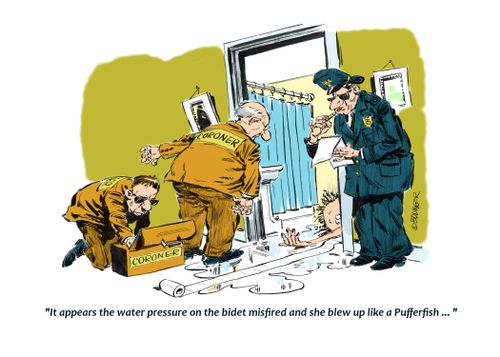"It appears the water pressue on the bidet misfired and she blew up like a pufferfish..."