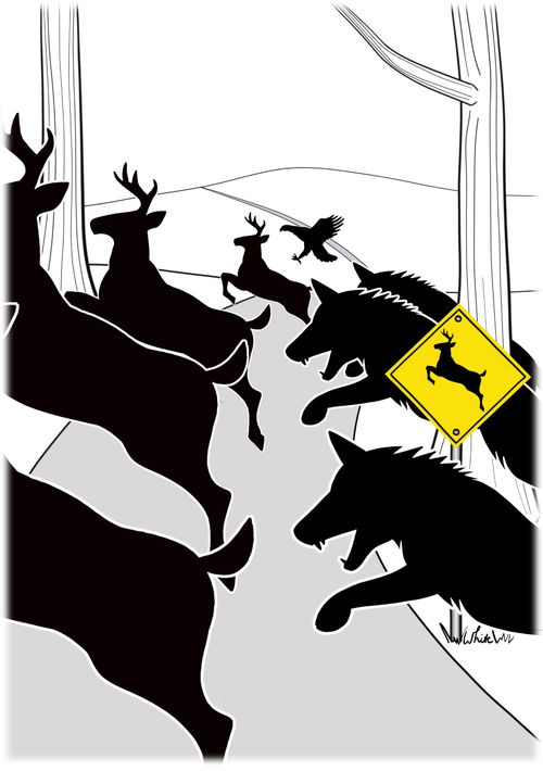 Deer in Fear
