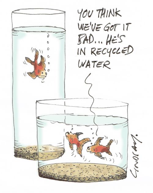"You think we've got it bad... he's in recycled water."
