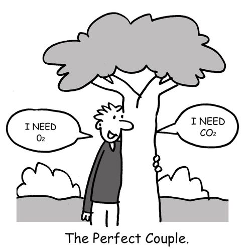 The perfect couple. 
