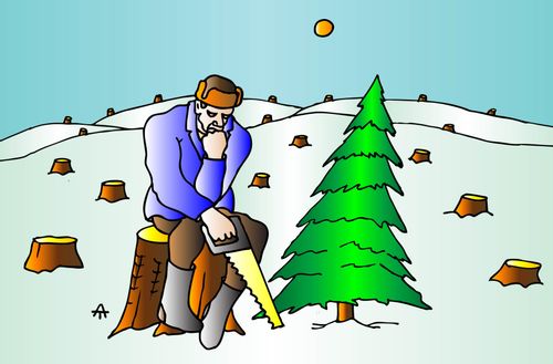The last Christmas Tree