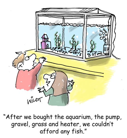 "After we bought the aquarium, the pump, gravel, grass and heater, we couldn't afford any fish."