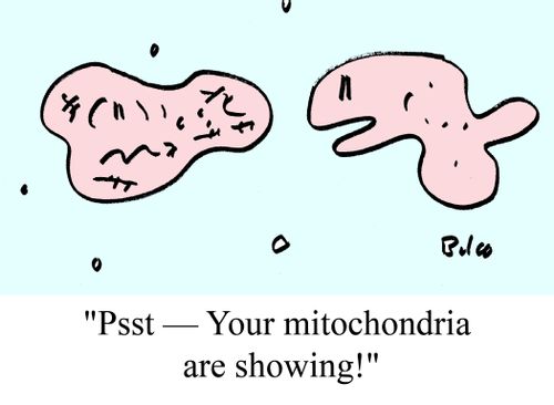 "Psst -- Your mitochondria are showing!"