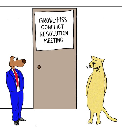 Growl - Hiss Conflict Resolution Meeting