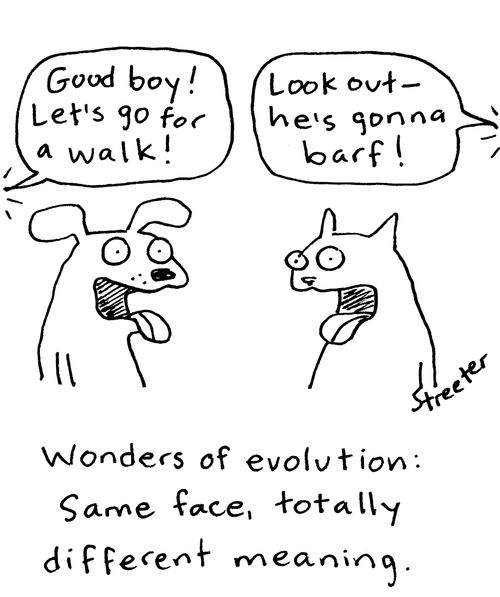 Wonders of evolution: Same face, totally different meaning.